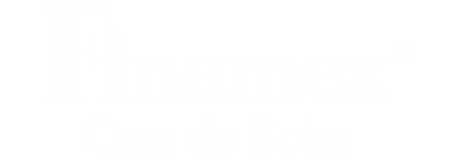 logo-horizontal-finamex