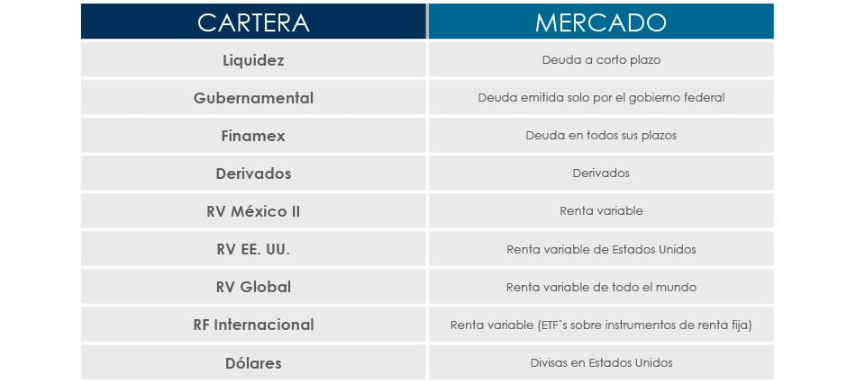 the-visionary-como-diversificar-con-1-millon-de-pesos-tabla-3